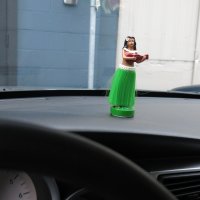 interior,dash,accessory,car,vehicle,truck,raccoon,tail,hula,hawaiian,flashlight,vase,vw,volkswagen,classic,retro,vintage,shift knob,knob,steering,dress up,glove box,fuel,cup holder